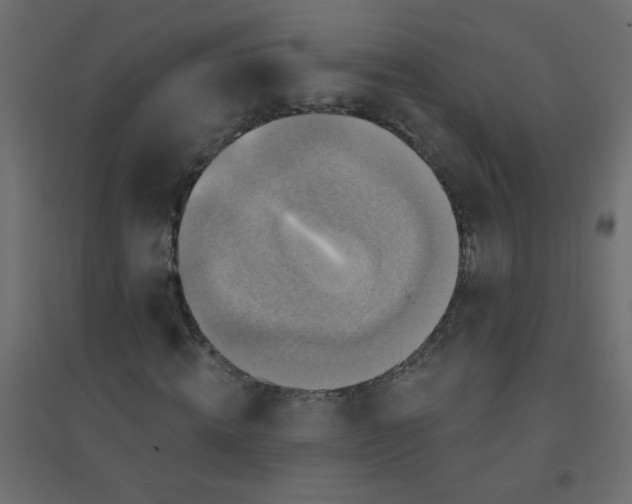 X0000094460820200711211538