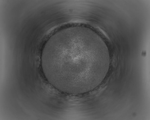 X0000094460821200711211538