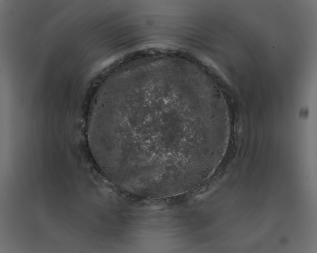 X0000094460822200711211538