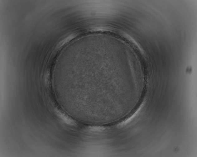 X0000094460825200711211539