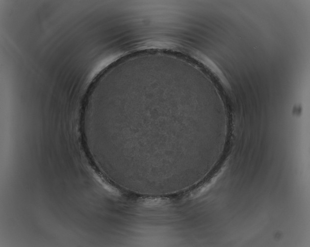 X0000094460826200711211539