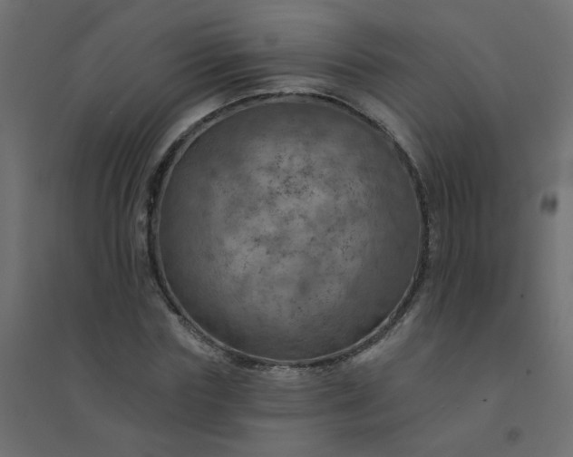 X0000094460827200711211539