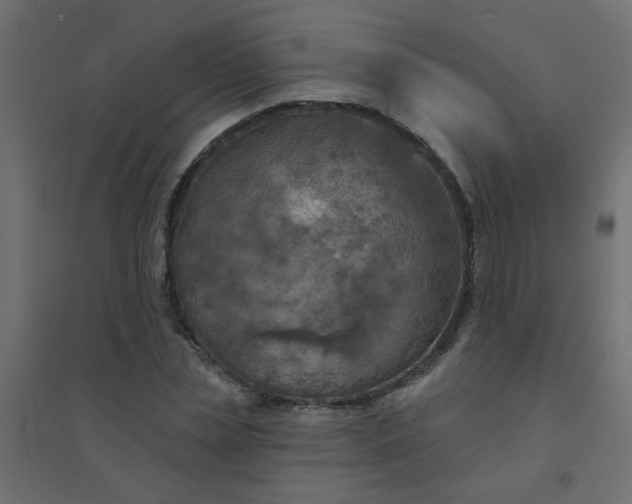 X0000094460829200711211539