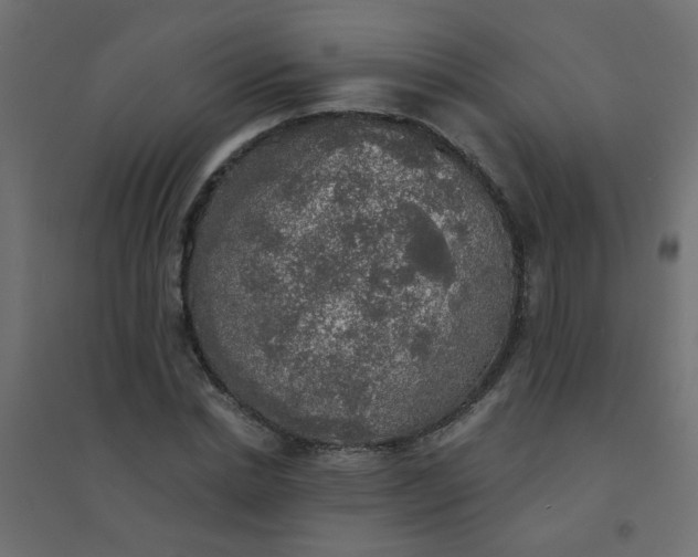 X0000094460830200711211539