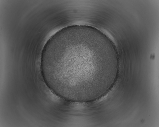 X0000094460831200711211539