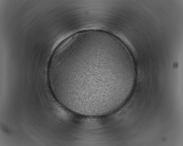 X0000094460834200711211539