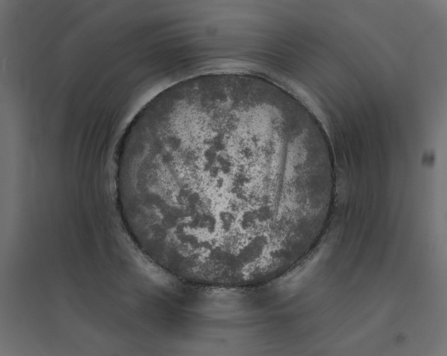 X0000094460835200711211539