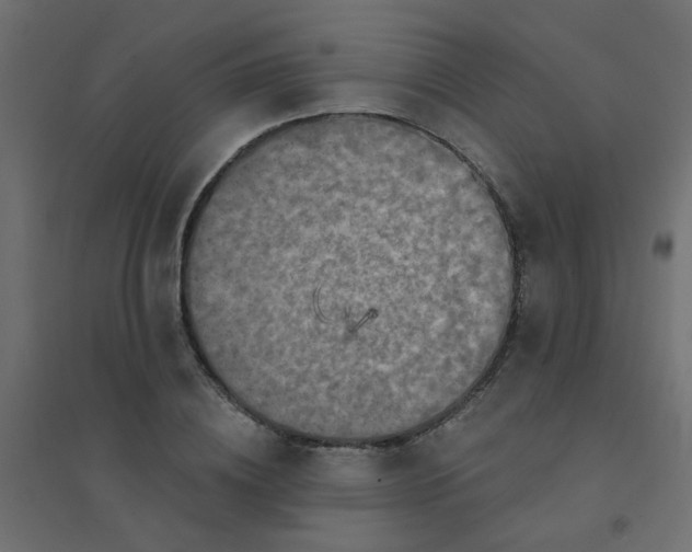 X0000094460836200711211539