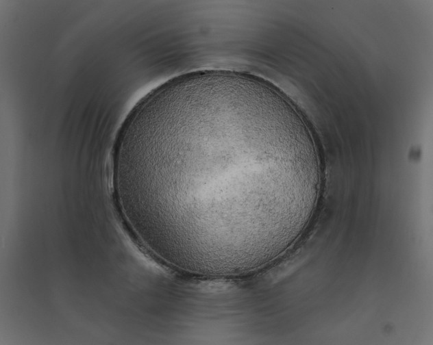 X0000094460838200711211539