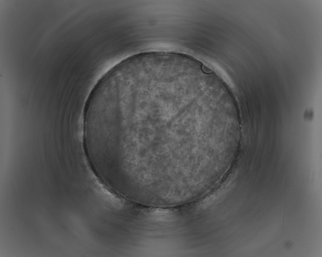 X0000094460839200711211539