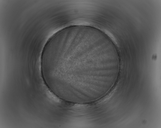 X0000094460840200711211539