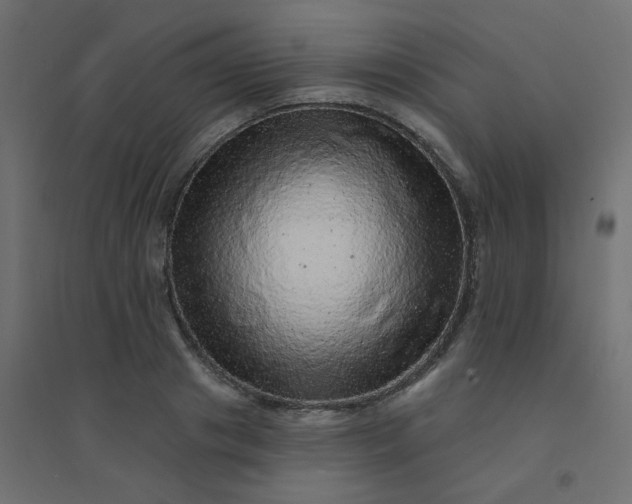 X0000094460841200711211539