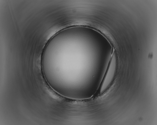 X0000094460842200711211539