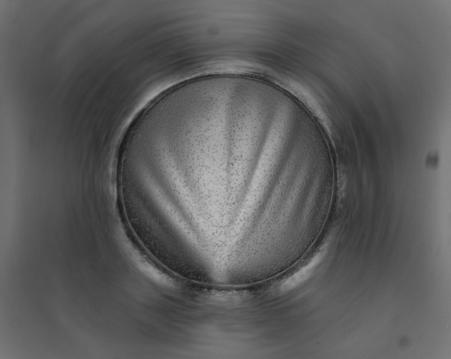 X0000094460843200711211539