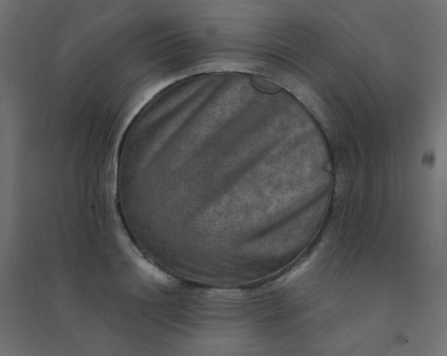 X0000094460844200711211539