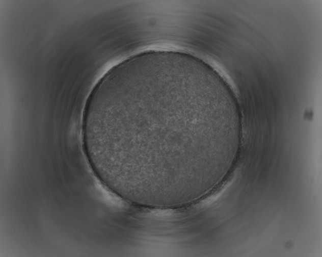 X0000094460845200711211539