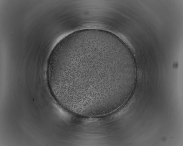 X0000094460846200711211539