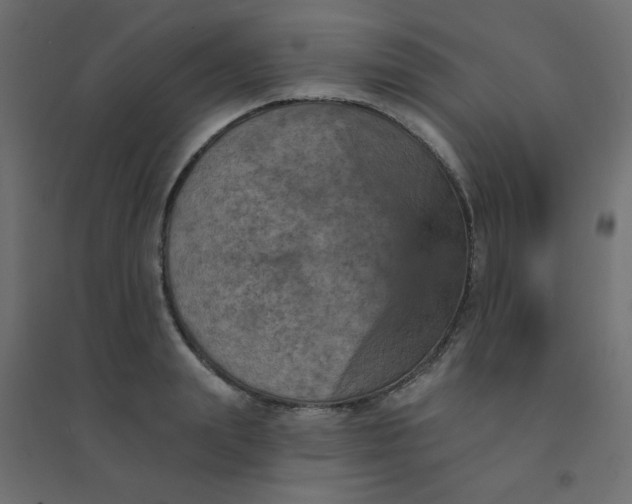 X0000094460847200711211539