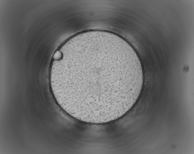 X0000094460848200711211539