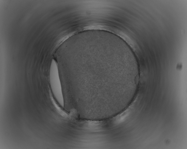 X0000094460849200711211539