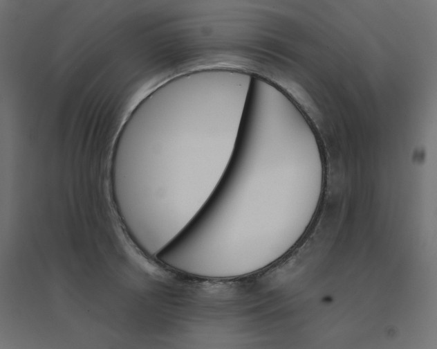 X0000094460850200711211539