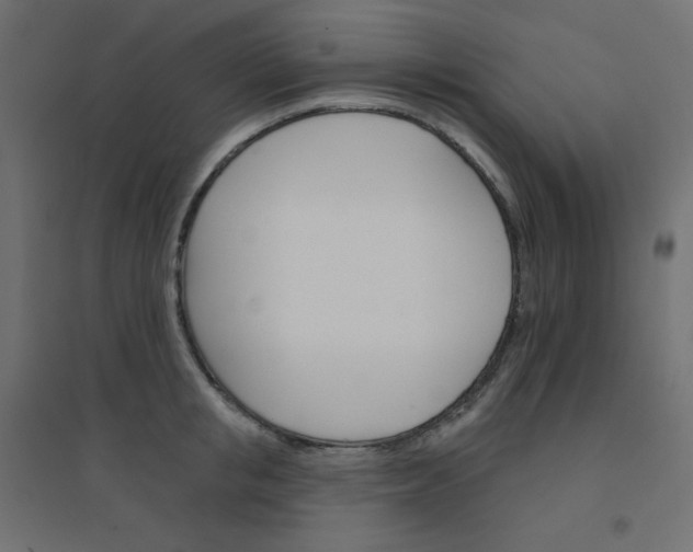 X0000094460853200711211539