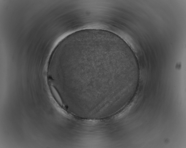 X0000094460854200711211539