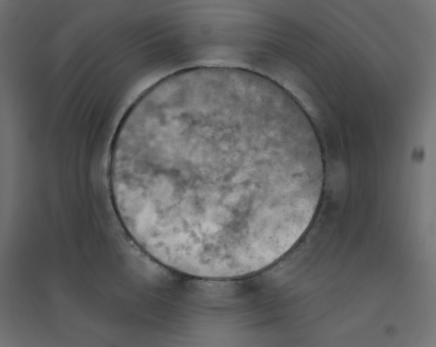 X0000094460856200711211539