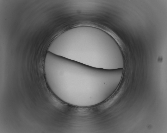 X0000094460857200711211539