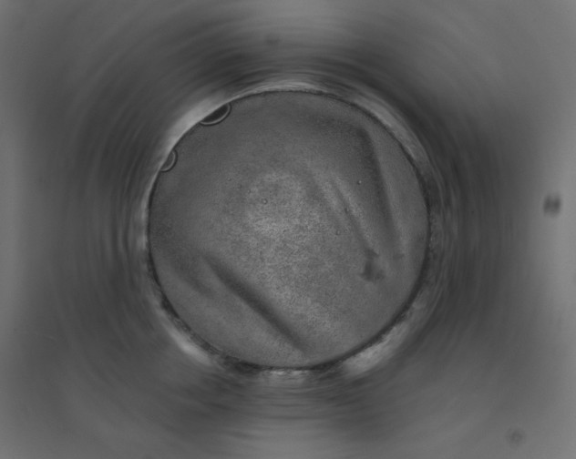 X0000094460858200711211539