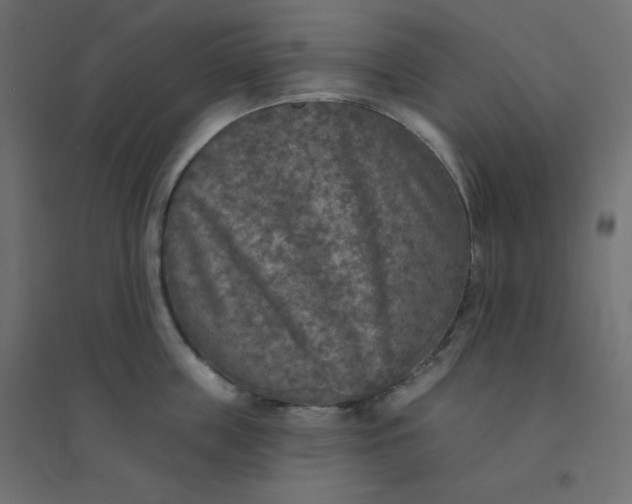 X0000094460859200711211539