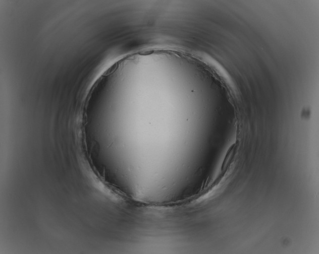 X0000094460860200711211539