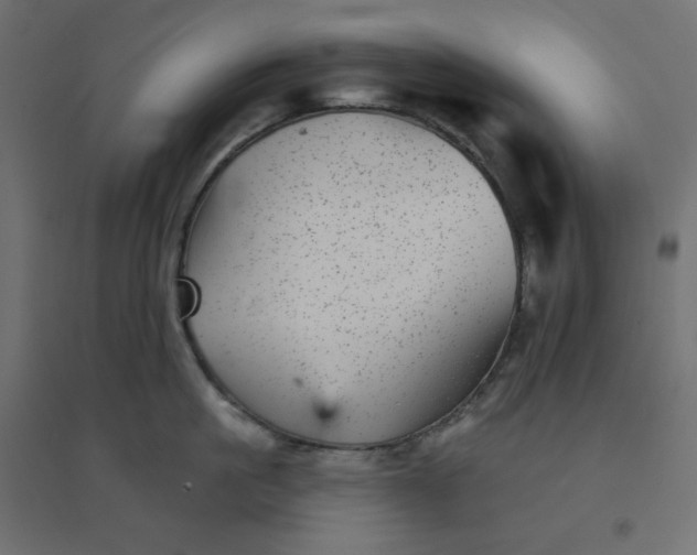 X0000094460861200711211539