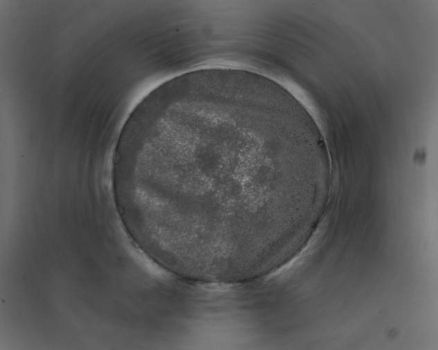 X0000094460862200711211539