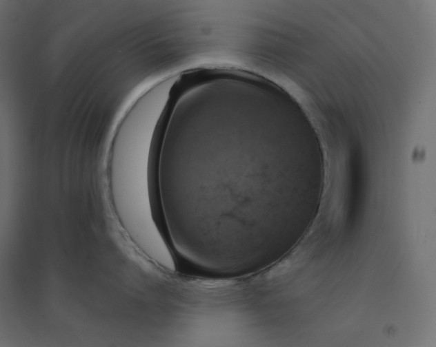 X0000094460864200711211539