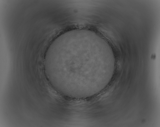 X0000094460865200711211538