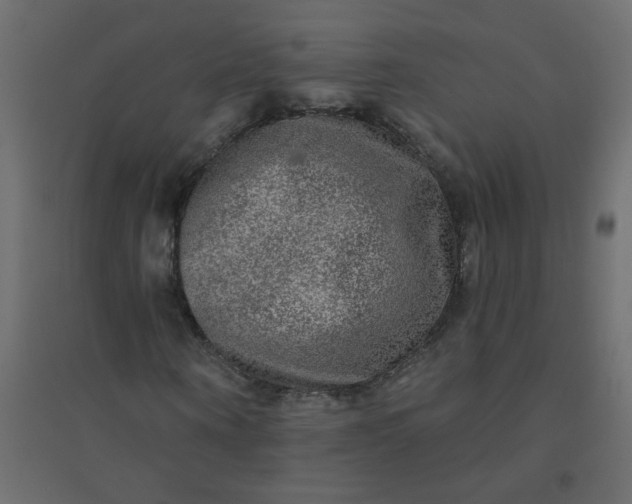 X0000094460866200711211538