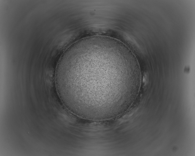 X0000094460867200711211538