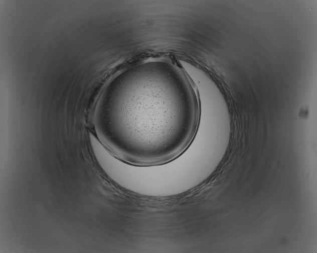 X0000094460868200711211538