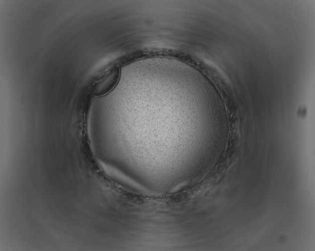 X0000094460870200711211538