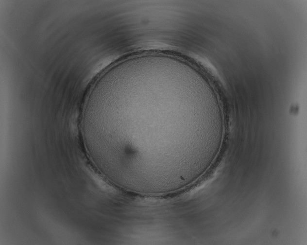 X0000094460873200711211538