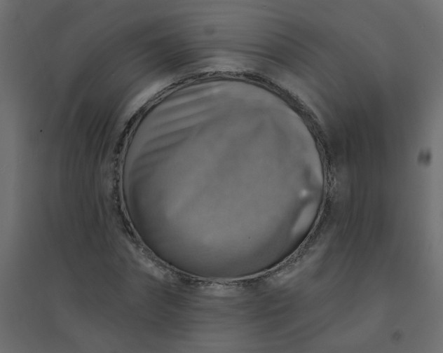 X0000094460874200711211538