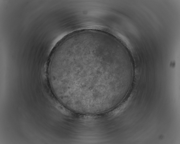 X0000094460875200711211538