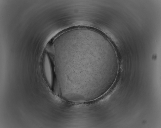 X0000094460877200711211538