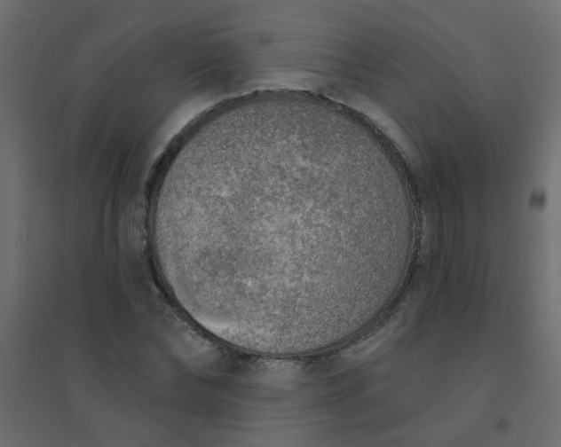 X0000094460878200711211538