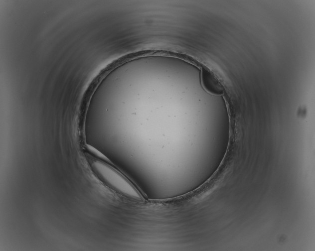 X0000094460880200711211538