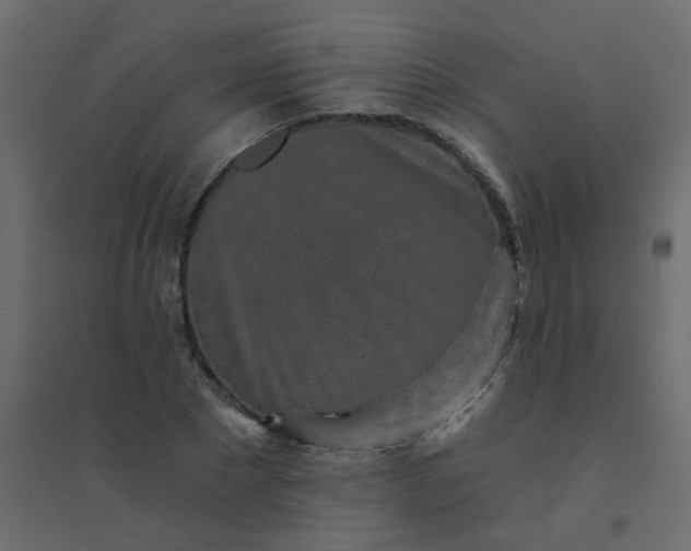 X0000094460881200711211538