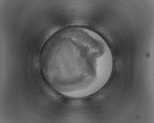 X0000094460882200711211538