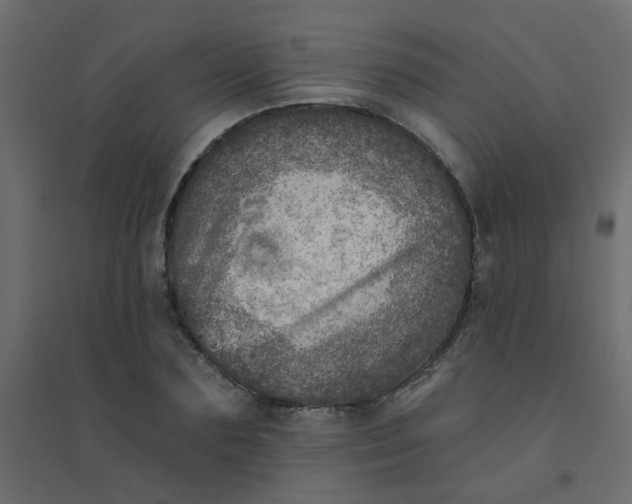 X0000094460883200711211538