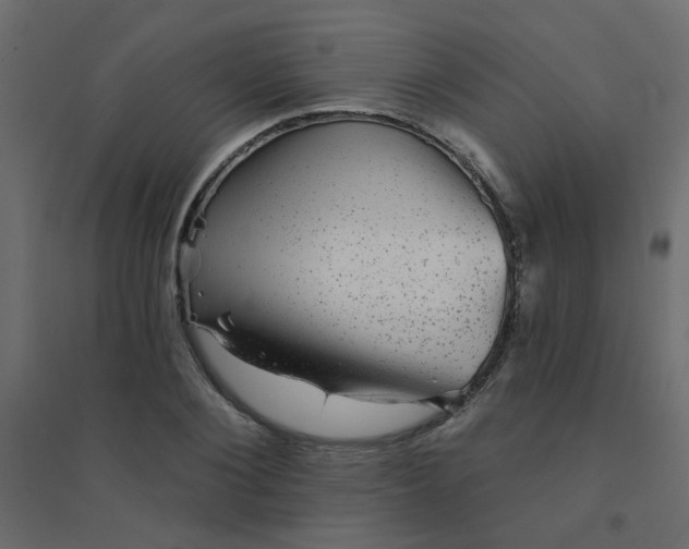 X0000094460884200711211538